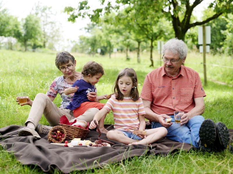 Picknick-unter-Hochstammbäumen.jpg